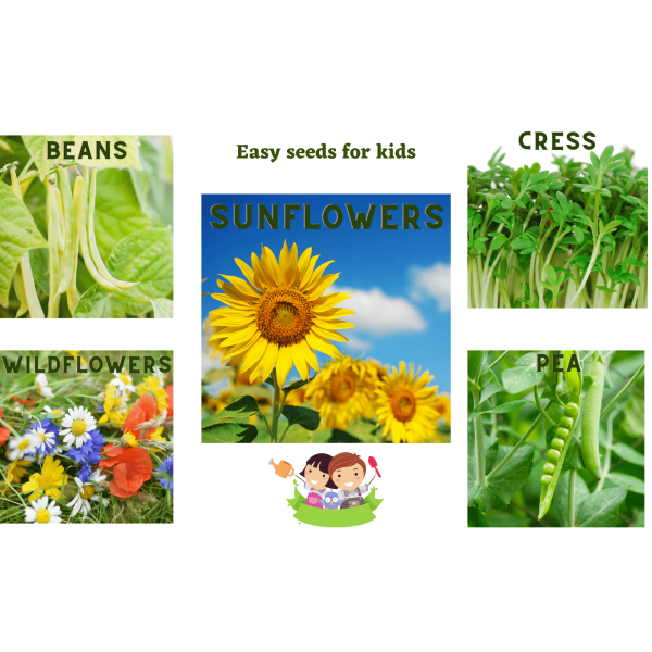 Kids Gardening Set. Grow Your own kit for Children - Image 7