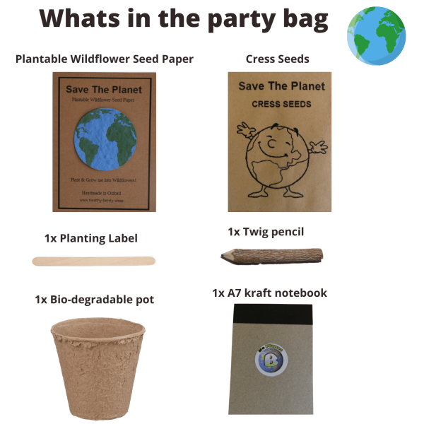 Save The Planet Birthday Party Bag - Image 2