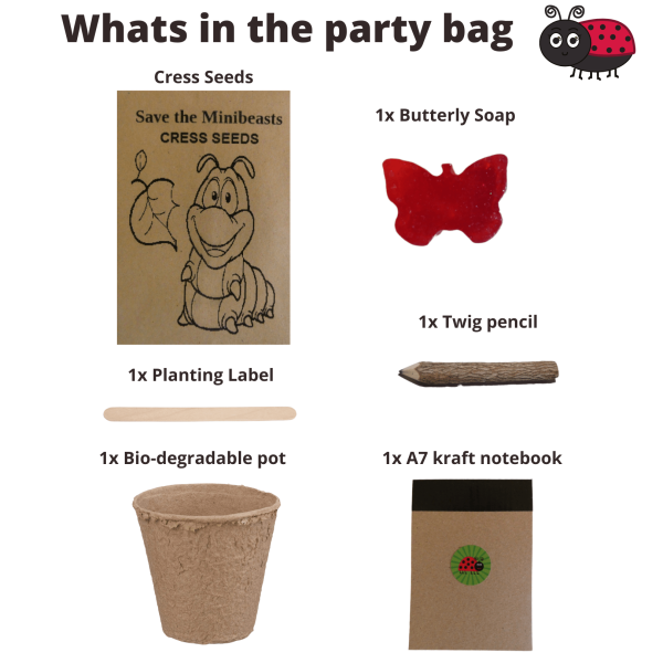 Save The Minibeasts Birthday Party Bag - Image 2