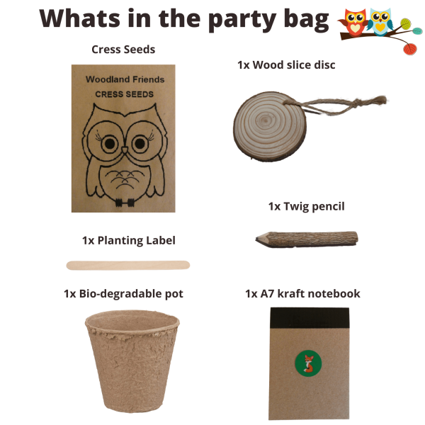 Woodland Friends Birthday Party Bag - Image 2