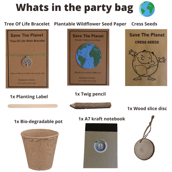 Save The Planet Birthday Party Bag Premium - Image 2