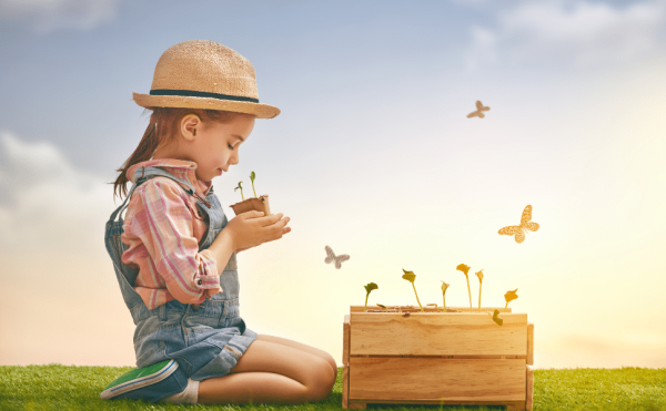 GROW YOUR OWN DELUXE ACTIVITY PACK FOR KIDS - Image 6