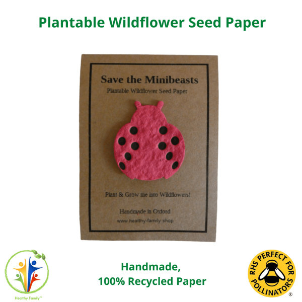 Save The Minibeasts Birthday Party Bag Premium - Image 3