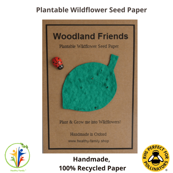 Woodland Friends Birthday Party Bag Premium - Image 4