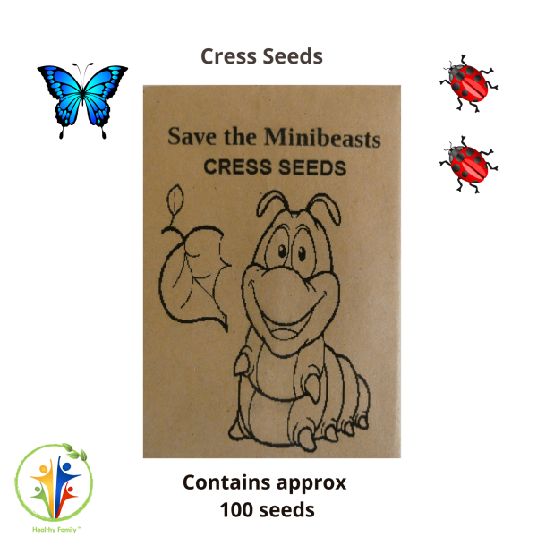 Save The Minibeasts Birthday Party Bag Premium - Image 4