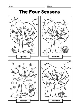 The four seasons