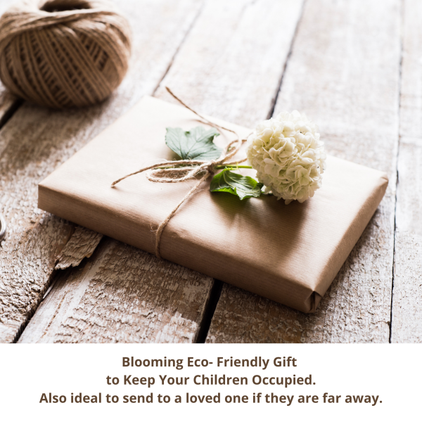 GROW YOUR OWN KIT FOR KIDS - Image 8