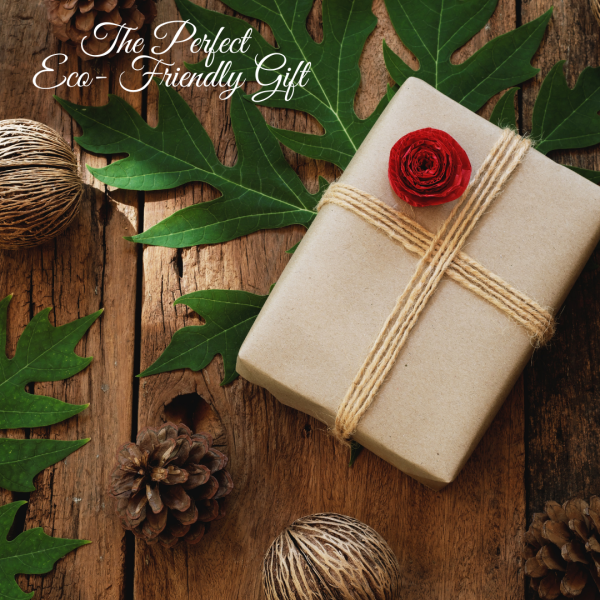 Get Well Soon Gift Set. Hamper Gift Set for Women. Relaxation Pamper Hampers. Thoughtful Letterbox Gift for Her. - Image 13