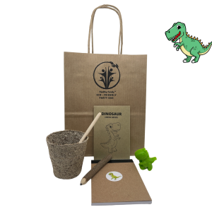 Dinosaur Themed Birthday Party Bag