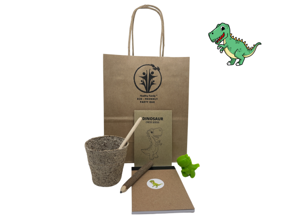 Dinosaur Themed Birthday Party Bag