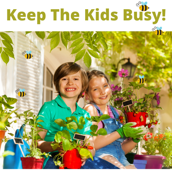 GROW YOUR OWN KIT FOR KIDS - Image 4