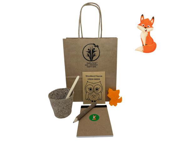 Woodland Themed Birthday Party Bag