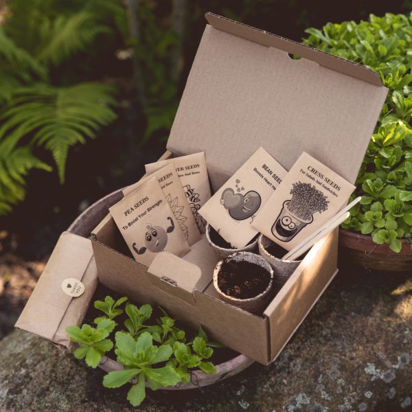 GROW YOUR OWN DELUXE ACTIVITY PACK FOR KIDS - Image 2
