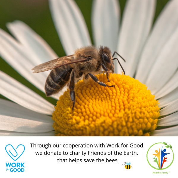 SAVE THE BEES ACTIVITY PACK FOR KIDS - Image 7