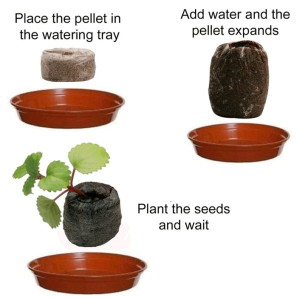GROW YOUR OWN KIT FOR KIDS - Image 5