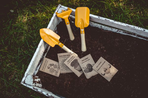 Kids Gardening Set. Grow Your own kit for Children - Image 2