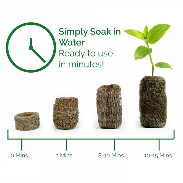 GROW YOUR OWN KIT FOR KIDS - Image 6