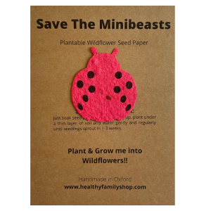 Plantable Wildflower seed paper. Ladybird Shape. Plastic Free Party Bag Fillers. Eco- Friendly Party Favour.