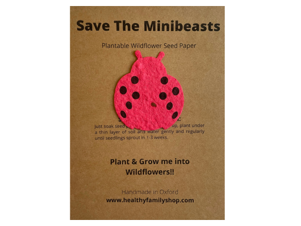 Plantable Wildflower seed paper. Ladybird Shape. Plastic Free Party Bag Fillers. Eco- Friendly Party Favour.