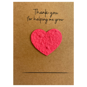 Teacher Gift. Teacher Present. Teacher Thank You Gift. End Of Year Teacher Gift. Heart Seed Paper Shapes