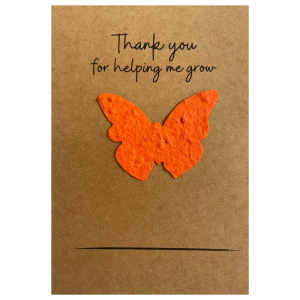 Teacher Gift. Teacher Present. Teacher Thank You Gift. End Of Year Teacher Gift. Butterfly Seed Paper Shapes