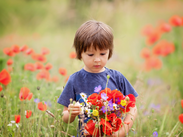Plantable Wildflower seed paper. Leaf Shape. Plastic Free Party Bag Fillers. Eco- Friendly Party Favour. - Image 7