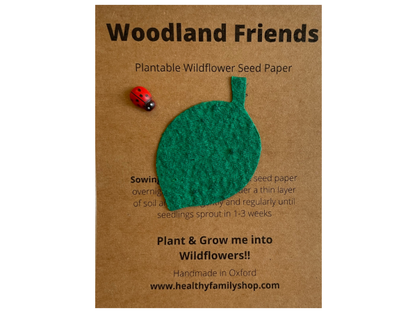 Plantable Wildflower seed paper. Leaf Shape. Plastic Free Party Bag Fillers. Eco- Friendly Party Favour.