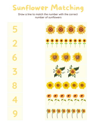 Sunflower Matching
