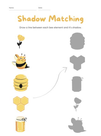 Shadow Matching