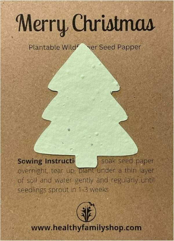 Eco- Friendly Christmas Party Bag Premium - Image 2